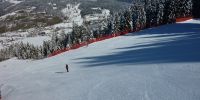 ski resort niederau d
