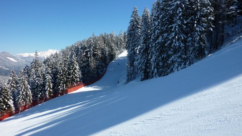 ski resort niederau f