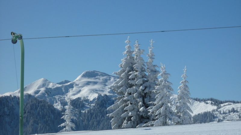 ski resort niederau g