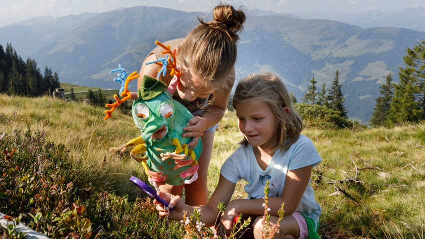 Wildschonau kaart zomer