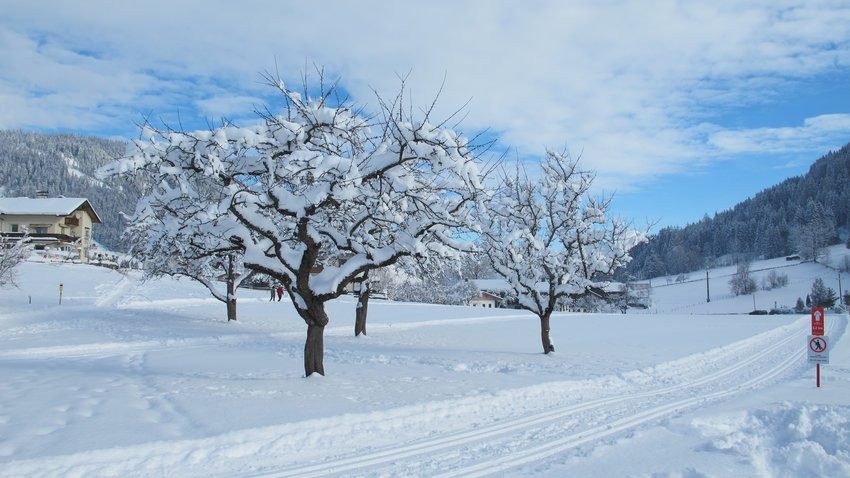 Langlauf Wildschönau