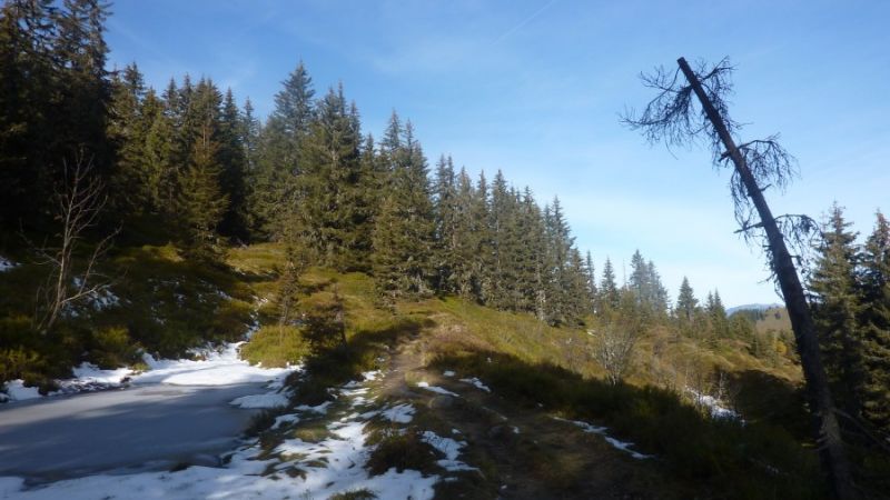 hiking wildschoenau