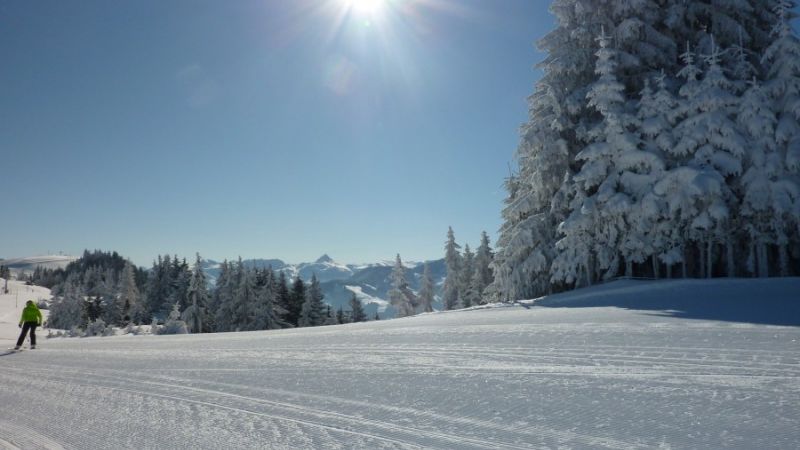 ski resort niederau a