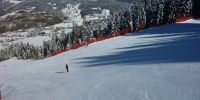 ski resort niederau d