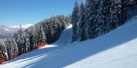 ski resort niederau f
