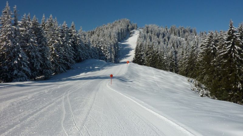 ski resort niederau n