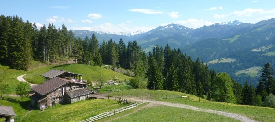 Achentalalm Oberau - Almabtrieb Wildschönau