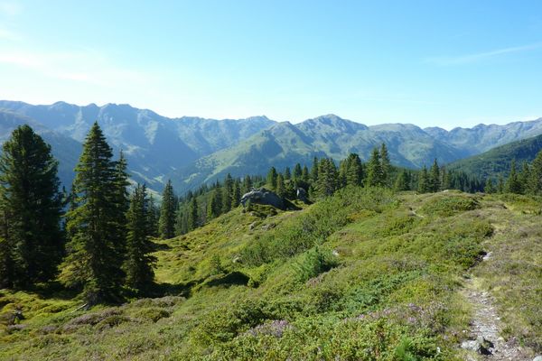 Wandern Wildschönau