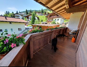 Hund Balkon Ferienwohnung