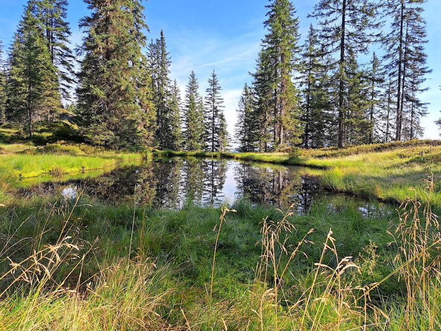 Wandern Wildschönau