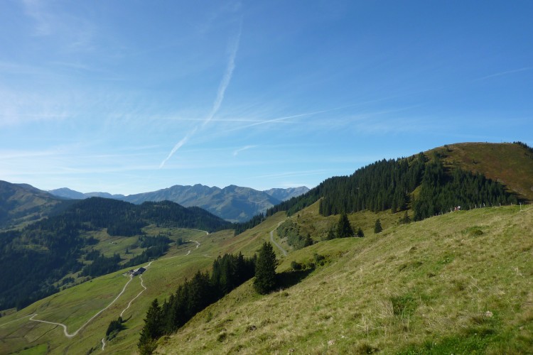 Wandern Sie mit Ihrem Hund auf dem einen oder anderen von 300 km Hundefreundlichen Wanderwegen in Tirol.