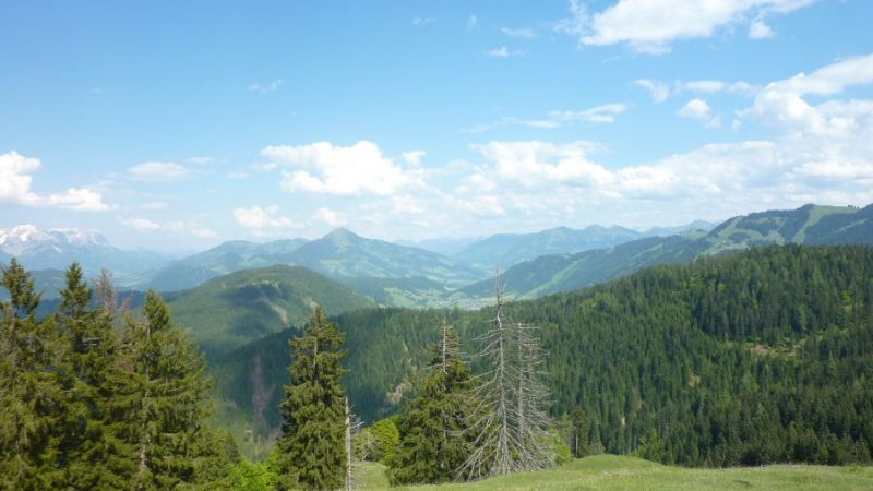 achentalalm wildschoenau 11