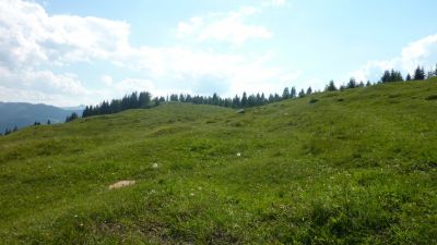 achentalalm wildschoenau 17