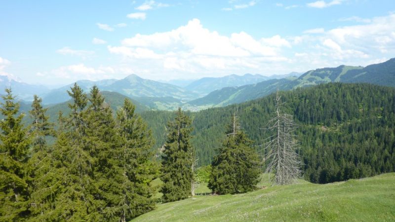 achentalalm wildschoenau 4