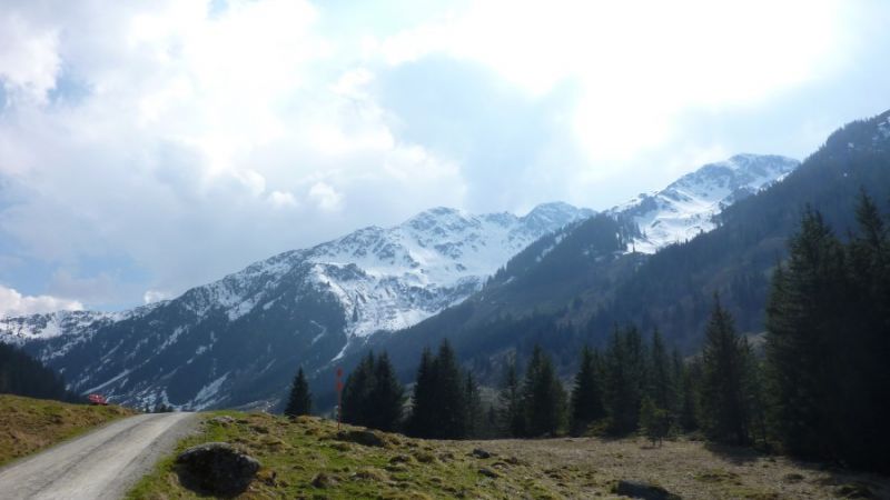 schoenangeralm wildschoenau 11