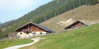 schoenangeralm wildschoenau 12