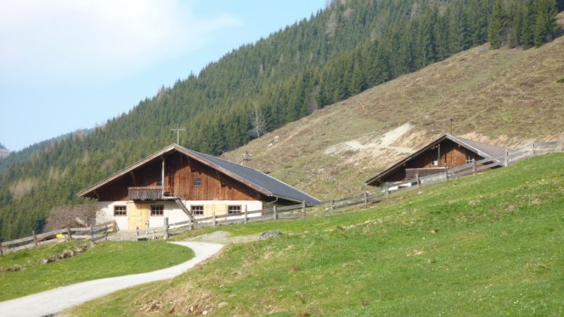 schoenangeralm wildschoenau 12