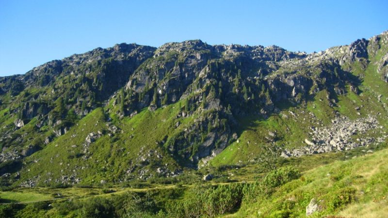 schoenangeralm wildschoenau 14