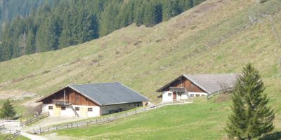 schoenangeralm wildschoenau 16