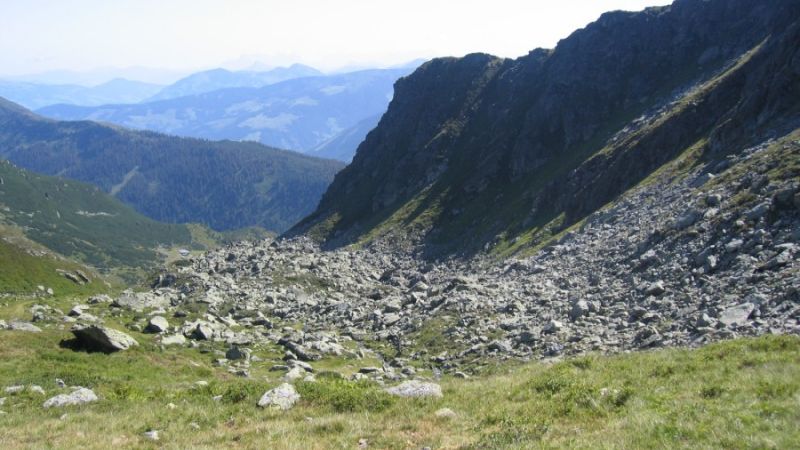 schoenangeralm wildschoenau 19