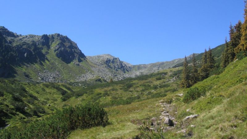 schoenangeralm wildschoenau 2