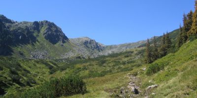 schoenangeralm wildschoenau 2