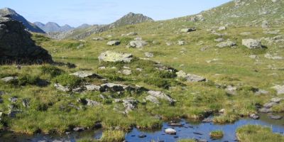 schoenangeralm wildschoenau 3