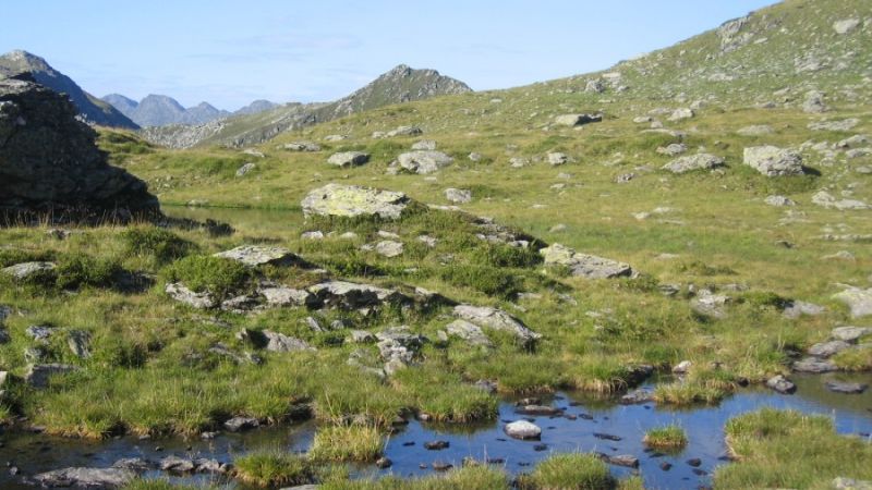 schoenangeralm wildschoenau 3