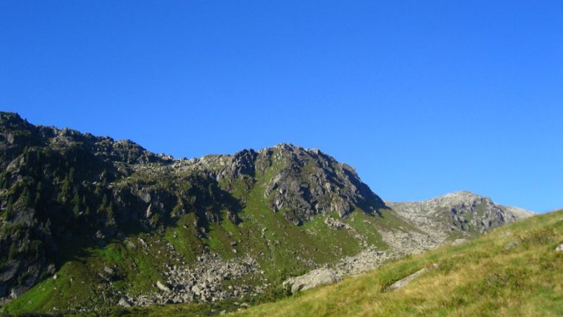 schoenangeralm wildschoenau 9