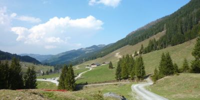 schoenangeralm wildschoenau auffach